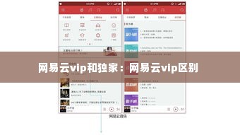 网易云vip和独家:网易云vip区别