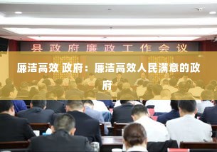 廉洁高效 政府:廉洁高效人民满意的政府