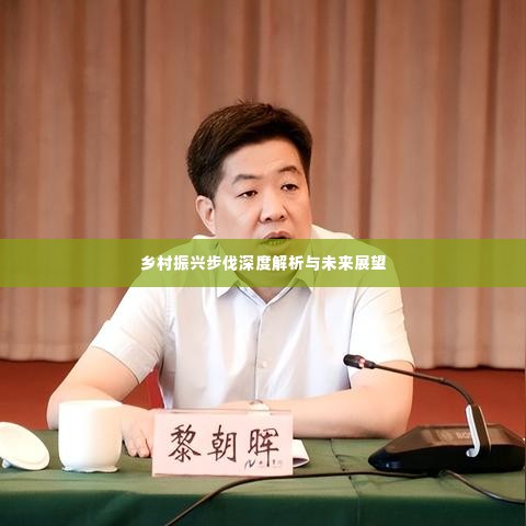 乡村振兴步伐深度解析与未来展望