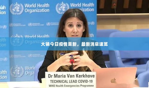 大镇今日疫情更新,最新消息速览