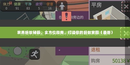 家养蚂蚁秘籍,全方位指南,打造你的蚂蚁家园(最新)