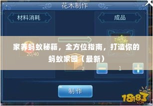 家养蚂蚁秘籍，全方位指南，打造你的蚂蚁家园（最新）