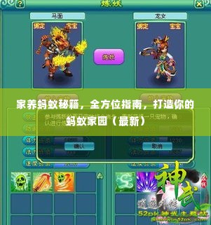 家养蚂蚁秘籍,全方位指南,打造你的蚂蚁家园(最新)