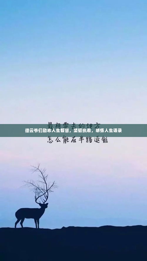 德云爷们励志人生智慧,坚韧执着,感悟人生语录