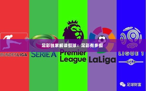 足彩独家解读假球：足彩有多假 