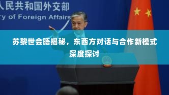 苏黎世会晤揭秘,东西方对话与合作新模式深度探讨