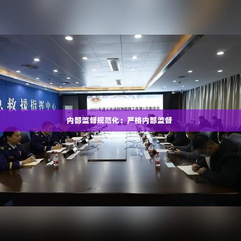 内部监督规范化：严格内部监督 