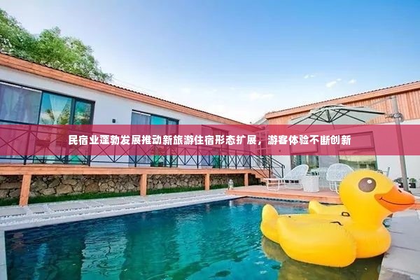 民宿业蓬勃发展推动新旅游住宿形态扩展，游客体验不断创新
