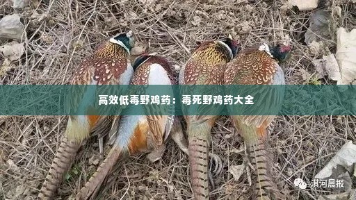 高效低毒野鸡药:毒死野鸡药大全