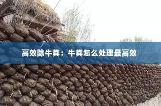 高效除牛粪:牛粪怎么处理最高效