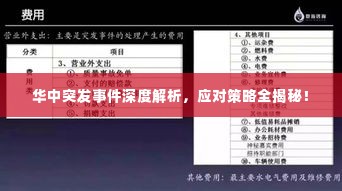 华中突发事件深度解析，应对策略全揭秘！