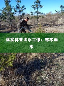 落实林业浇水工作:林木浇水