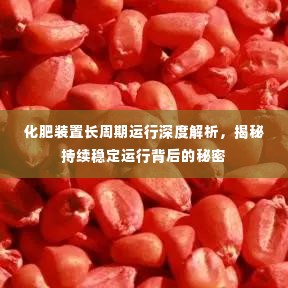 化肥装置长周期运行深度解析,揭秘持续稳定运行背后的秘密