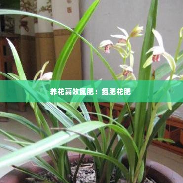 尊师贵道 第3页