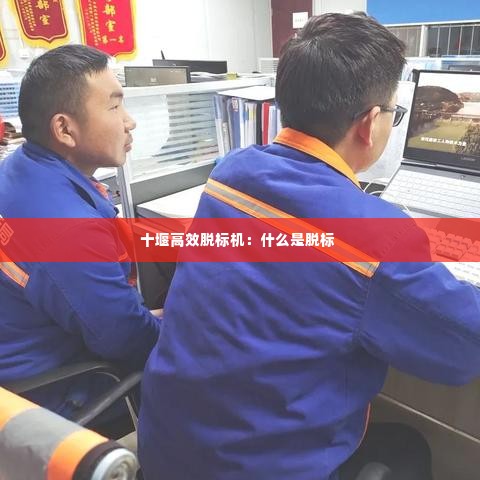 十堰高效脱标机：什么是脱标 