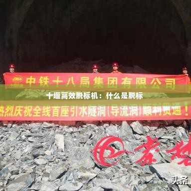 十堰高效脱标机:什么是脱标