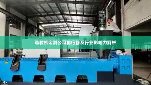 造粒机定制公司排行榜及行业影响力解析