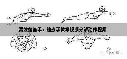 高效蛙泳手：蛙泳手教学视频分解动作视频 