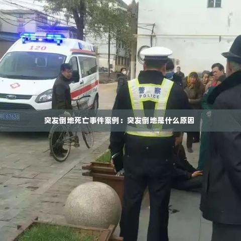 观往知来 第3页