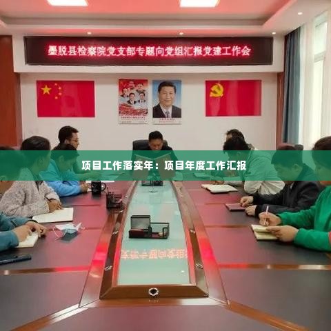 项目工作落实年：项目年度工作汇报 