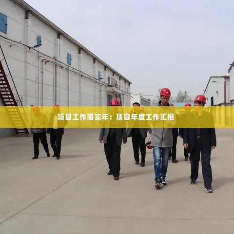 项目工作落实年:项目年度工作汇报