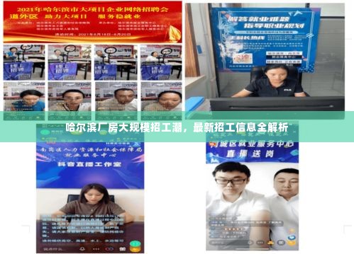 哈尔滨厂房大规模招工潮,最新招工信息全解析