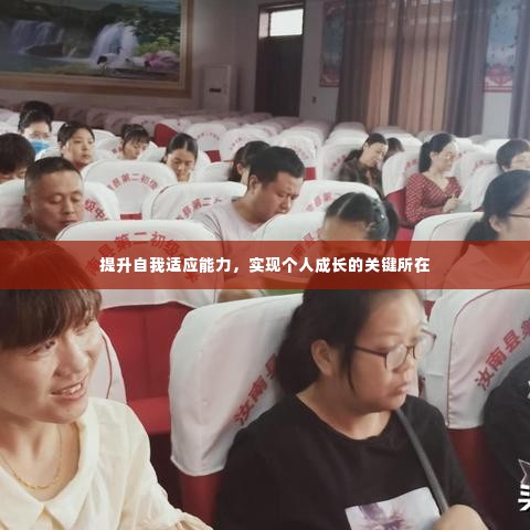 提升自我适应能力,实现个人成长的关键所在