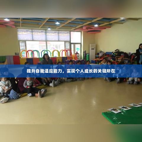 提升自我适应能力,实现个人成长的关键所在