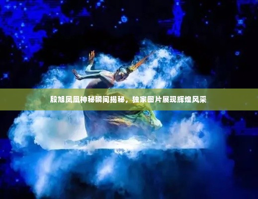 殷旭凤凰神秘瞬间揭秘,独家图片展现辉煌风采