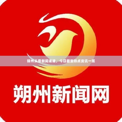锦州头条新闻速递,今日最新热点资讯一览