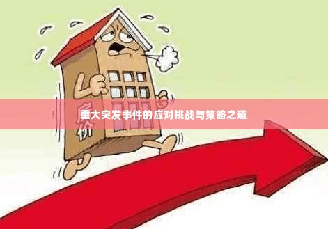 重大突发事件的应对挑战与策略之道