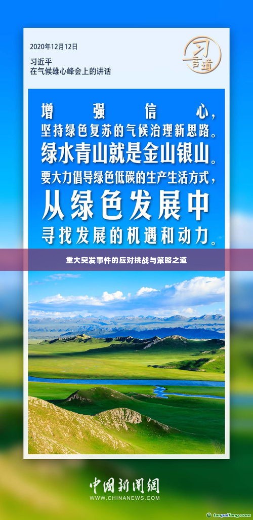 重大突发事件的应对挑战与策略之道