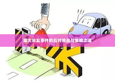 重大突发事件的应对挑战与策略之道