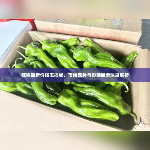 辣椒最新价格表揭秘，市场走势与影响因素深度解析