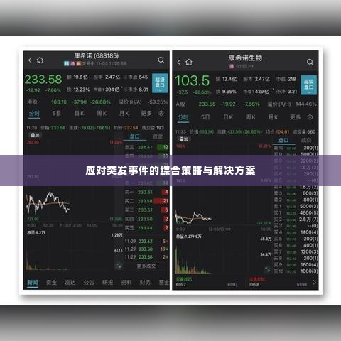 应对突发事件的综合策略与解决方案