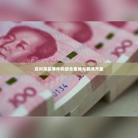 应对突发事件的综合策略与解决方案