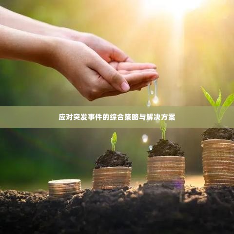 应对突发事件的综合策略与解决方案