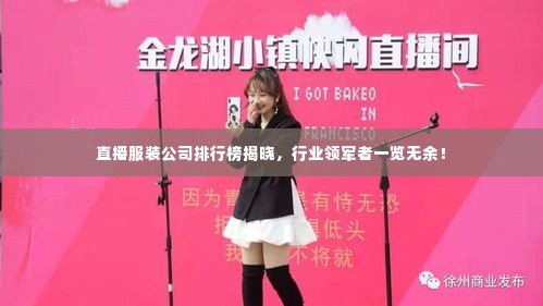 直播服装公司排行榜揭晓,行业领军者一览无余!