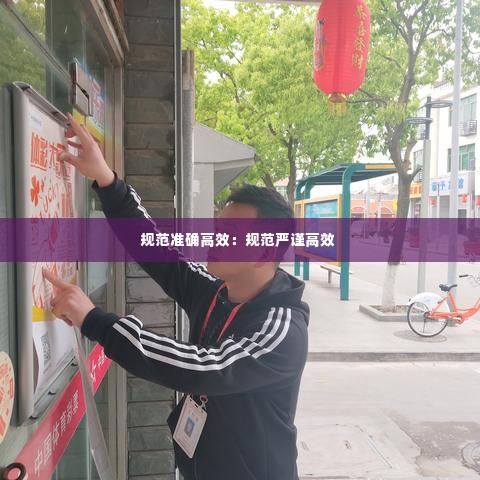 规范准确高效:规范严谨高效