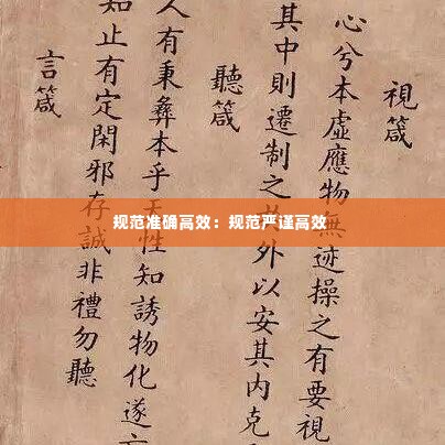 规范准确高效:规范严谨高效