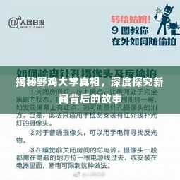 揭秘野鸡大学真相，深度探究新闻背后的故事
