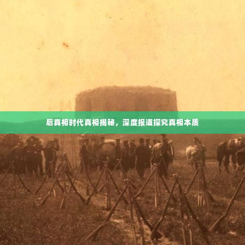 蹉跎岁月 第3页