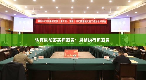 认真贯彻落实抓落实：贯彻执行抓落实 