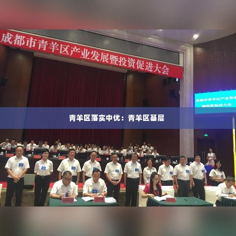 青羊区落实中优:青羊区基层