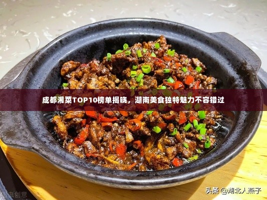 成都湘菜TOP10榜单揭晓,湖南美食独特魅力不容错过