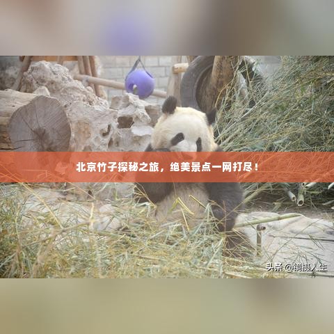 碧瓦飞甍 第3页