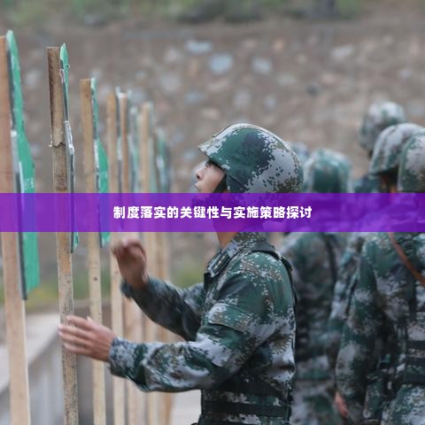 制度落实的关键性与实施策略探讨