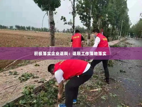 积极落实企业退税:退税工作落地落实
