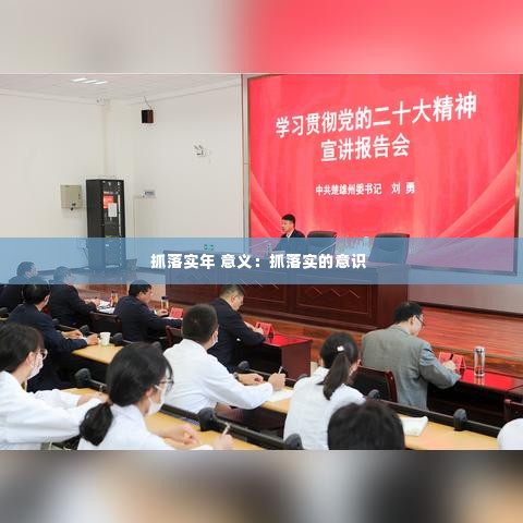 抓落实年 意义:抓落实的意识