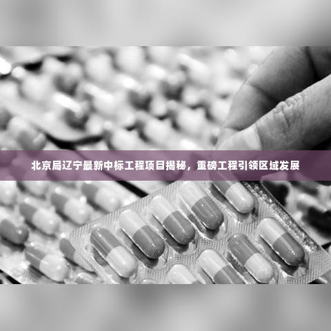 北京局辽宁最新中标工程项目揭秘，重磅工程引领区域发展